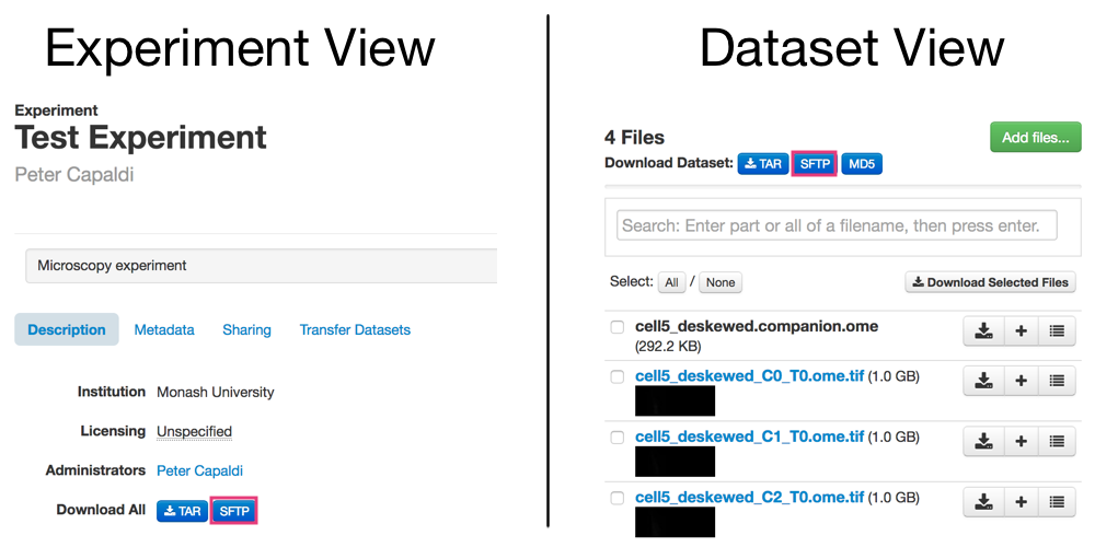 ../_images/sftp_buttons.png